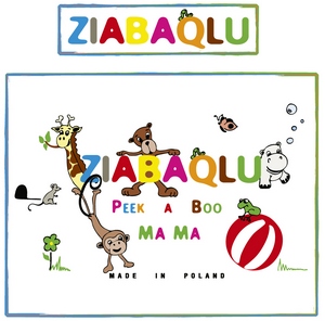 zaiabaqlu.com